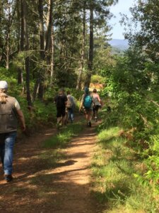 wandelen, hiking, wandelweek, hikingvacation,