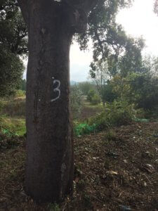 Casa Traca geocaching 11 e1541267393218