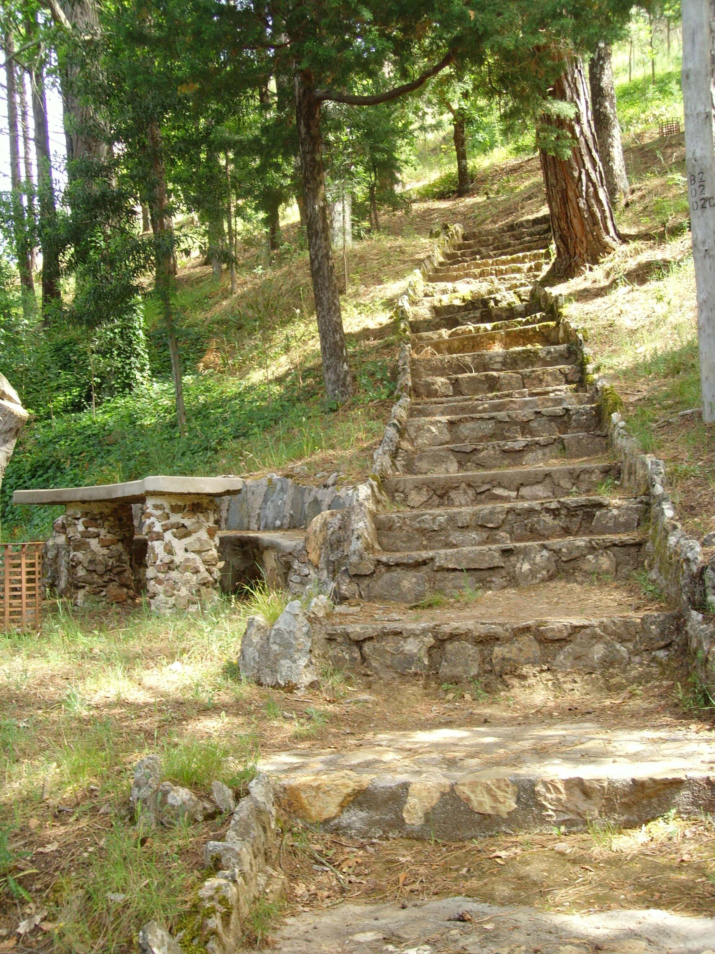 Wandeling naar top wandelpad onderdeel van wandelweek