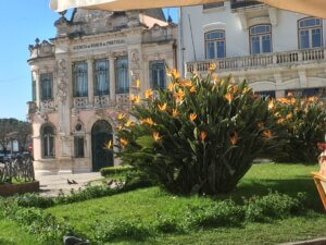 Bed and breakfast centraal Portugal