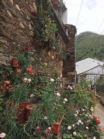 serra do acor Casal Novo poco da cesta