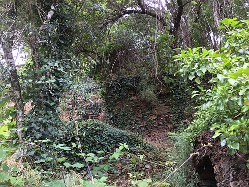 serra do acor Casal Novo poco da cesta
