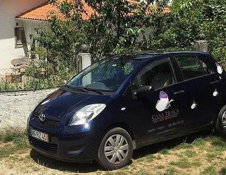 algemene voorwaarden ophaaldienst B&B Casa Traca trein en bus
