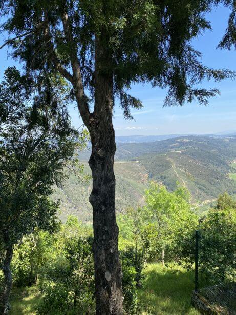Mont Alto Arganil, Bed and Breakfast Casa Traca