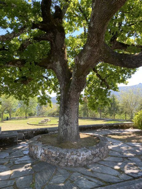 Mont d'Alto Arganil, Bed and Breakfast Casa Traca