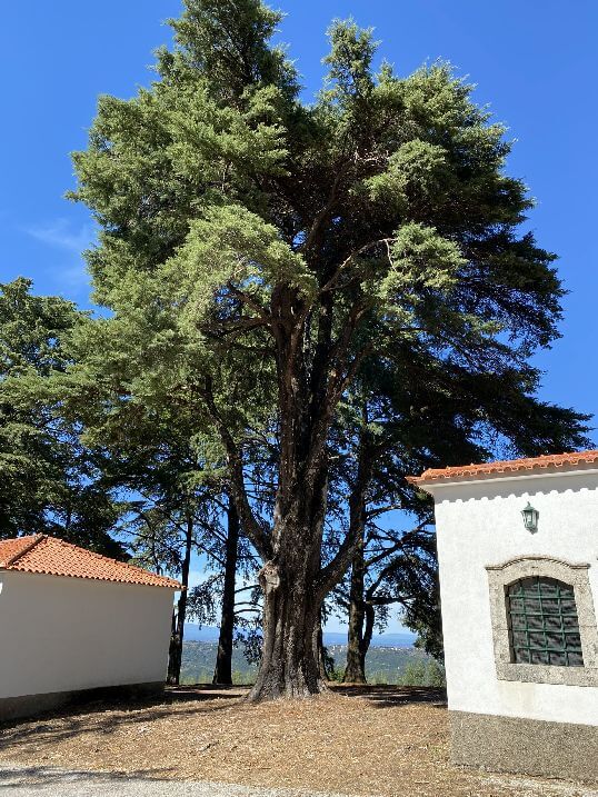 Santuario senhora das preces Santuario senhora das preces